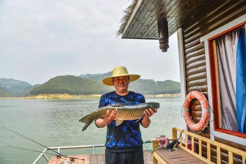 万峰湖如何避开小罗非