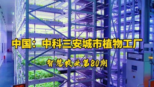 垂直工厂是什么意思