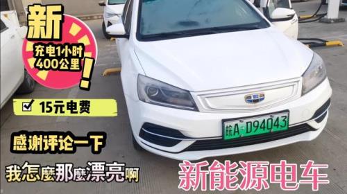 网约车最多的品牌电动车
