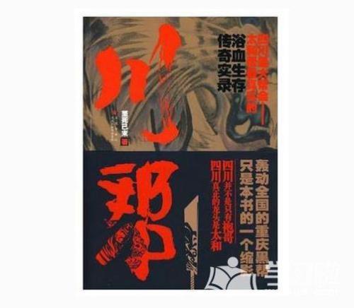 那些黑道小说最好看越多越好
