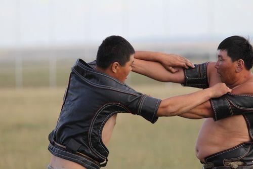 蒙古族摔跤冠军被称为什么呢