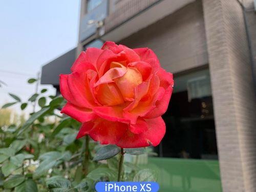 花在你面前都黯然失色怎么回复