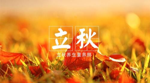 立秋后成语