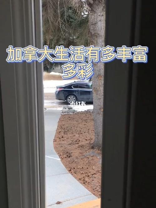 别人说我生活丰富多彩怎么回答