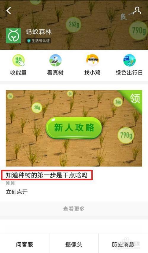 蚂蚁森林行走步数计算时间