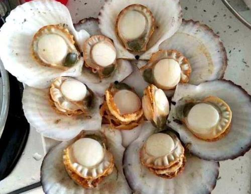 为什么蒸贝壳时候很臭