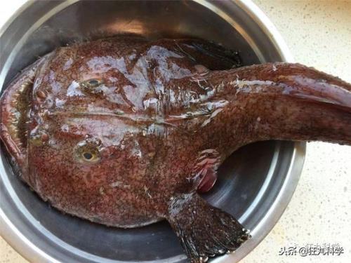 魔鬼鱼要蒸多久才熟