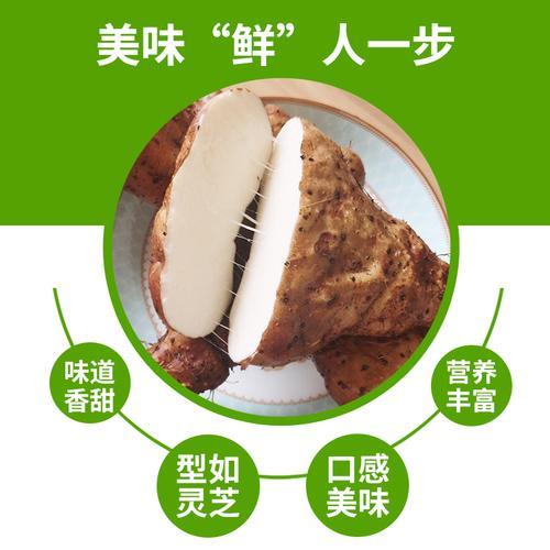 广东灵芝叶是什么菜