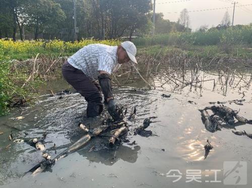 没有水源的地方能挖鱼塘吗