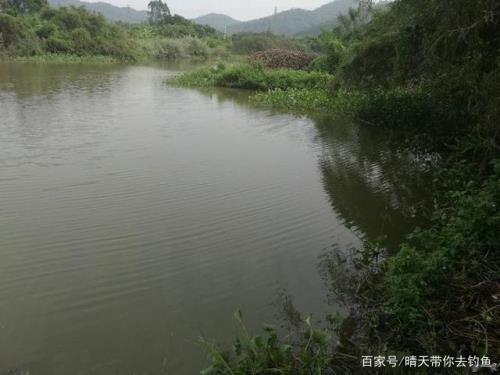 钓鱼钓弯道选内弯还是外弯