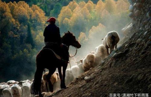 牧羊人是什么意思网络用语