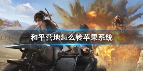 和平营地转区币怎么买