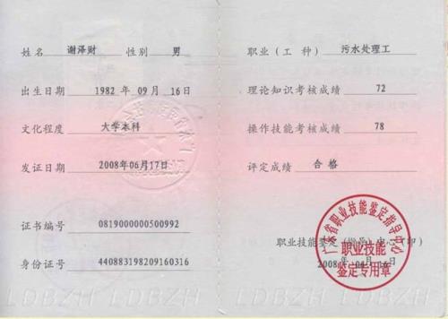 职业资格证书查询名称怎么填