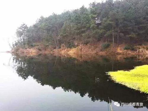 南山高坎子附近能钓鱼吗