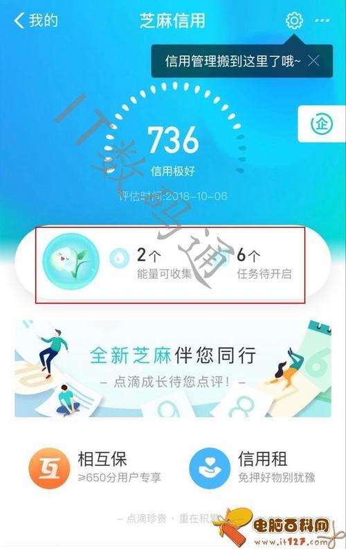 支付宝能量40g代表什么