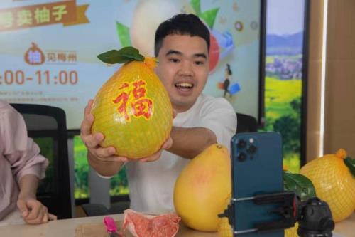 广东中秋送柚子送几个