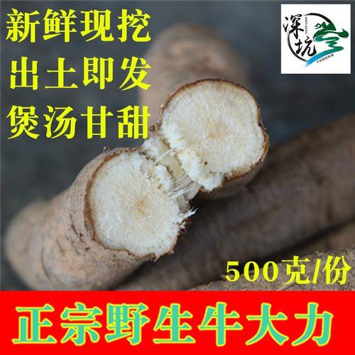 大力薯哪里卖正宗