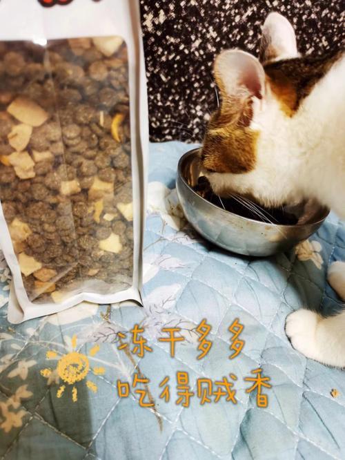手有余粮心里不慌下一句