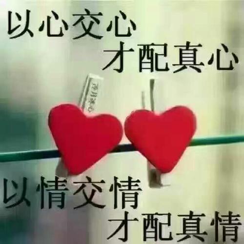 我是你心里的宝下一句