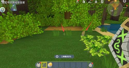 雨林沙漠全探索树可以多少级