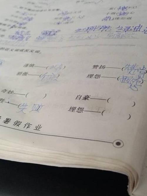 压的反义词是什么呢