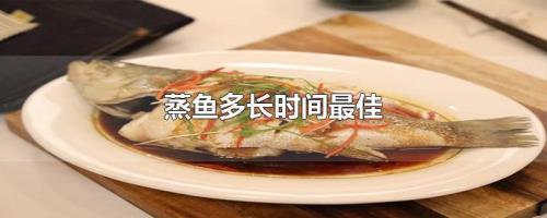 蒸鱼多长时间最佳的啊