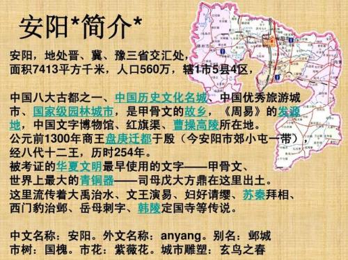 安阳哪个镇人口最多
