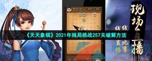 天天象棋怎么看神级对战