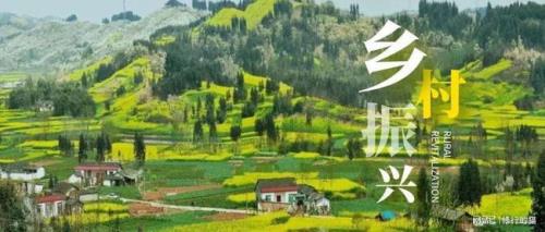 因地制宜读音是什么