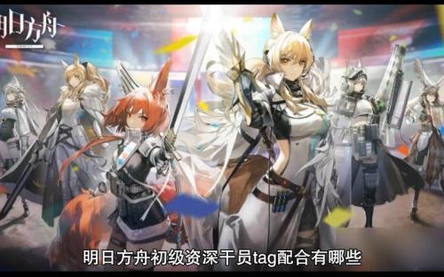 明日方舟高级资深探员tag搭配