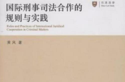 国际 刑法 举证原则