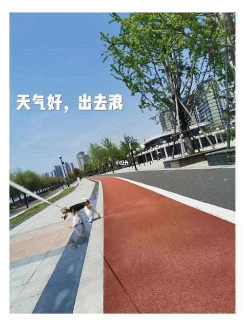 出去浪的幽默句子
