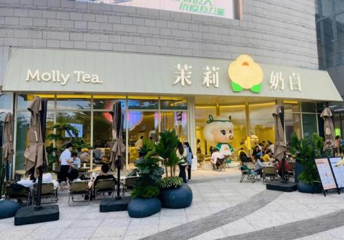 深圳茉莉学院是什么