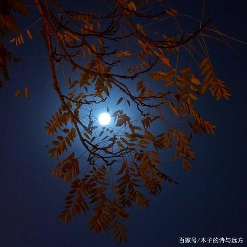 今夜我一夜无眠完整版原唱