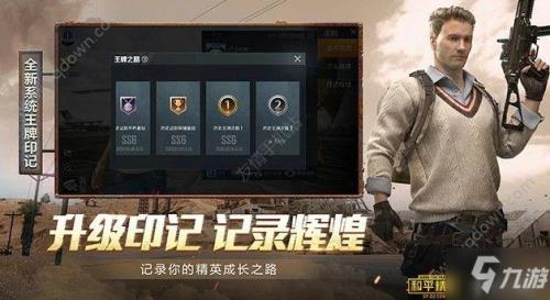 和平精英称号展示设置
