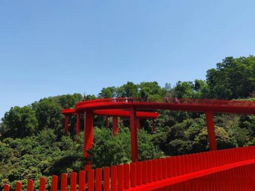 光明虹桥公园可以露营吗