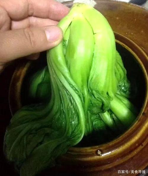 水碌菜的做法有哪些