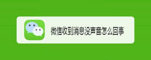 为什么别人加我微信很久才收到