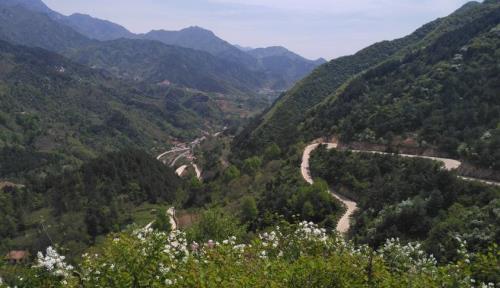 蓝关古道有几条