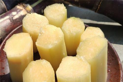 提甘蔗可以上火车吗