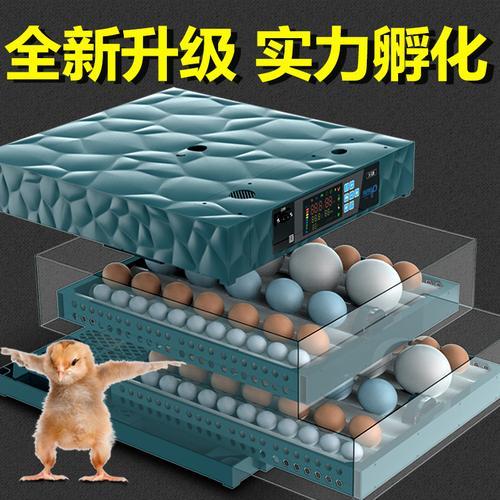 水床孵化最后三天怎么喷水