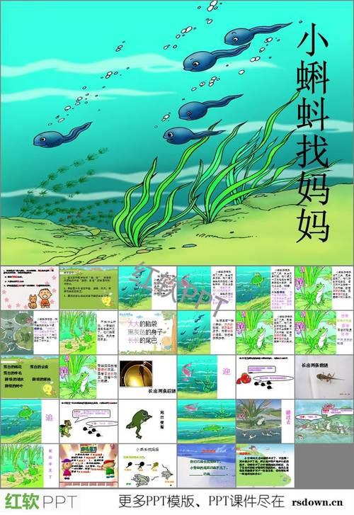 蝌蚪干什么填动词