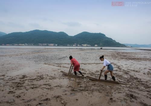 宁波奉化赶海最好几点去