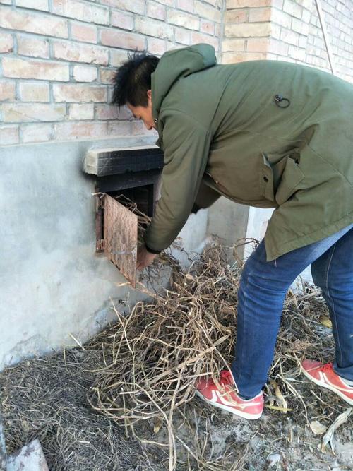 新炕怎么烧才能干