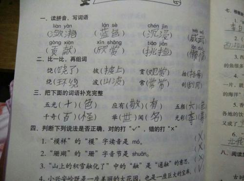 “片”组词有哪些