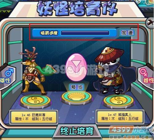 卡布西游墨魂怎么培养