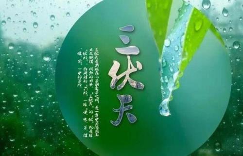 今年三伏热不热呢