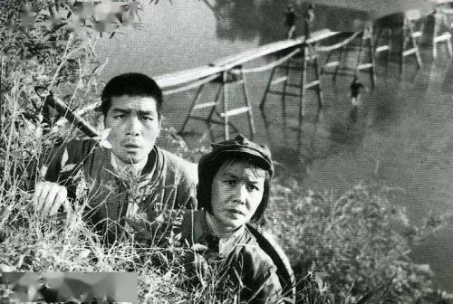 1956年白杨主演了什么故事片