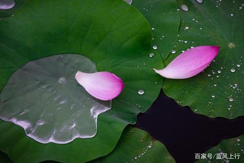 雨后炎热的诗句