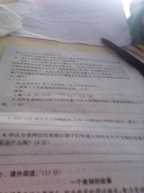 放浪者求饶是什么意思